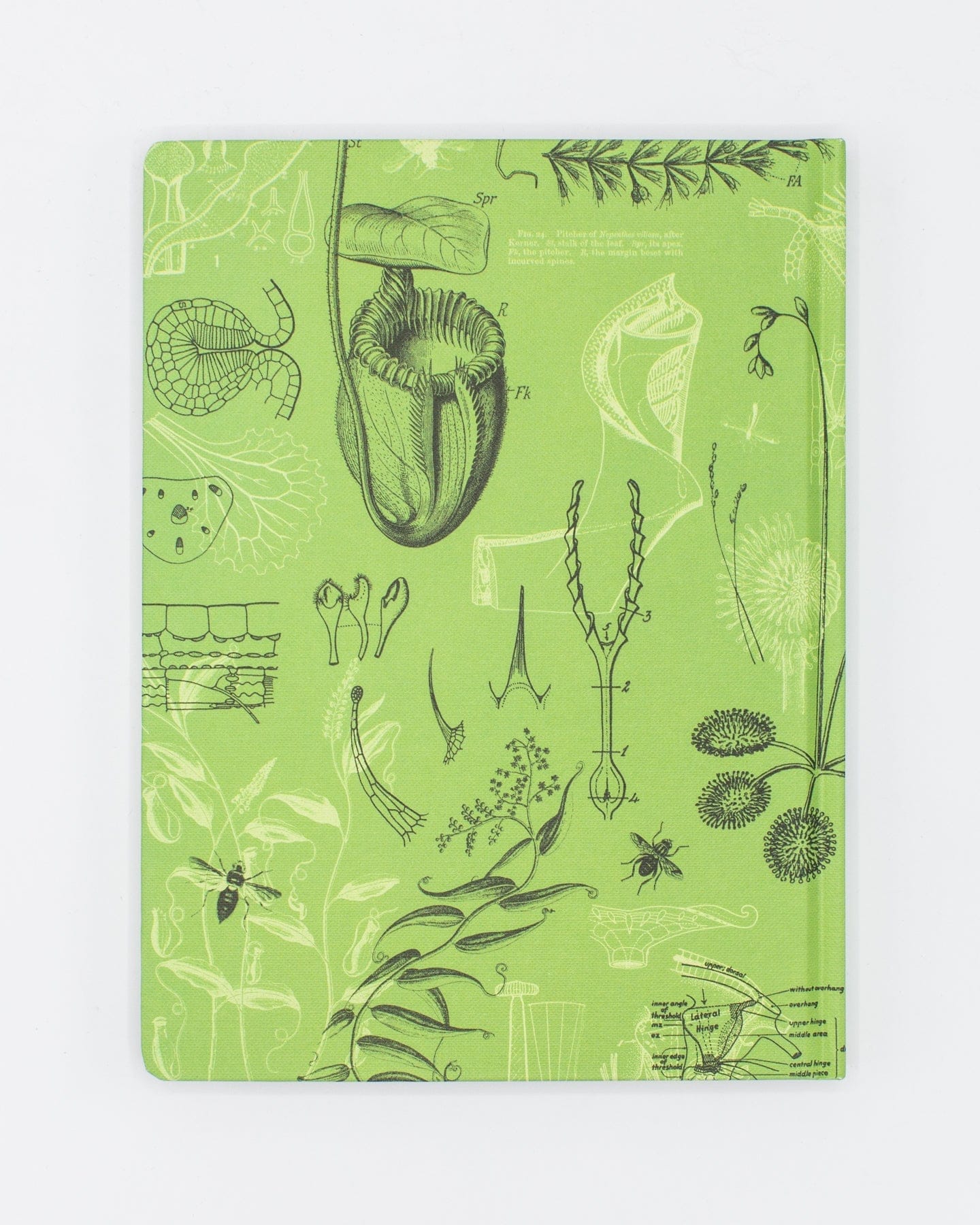 Carnivorous Plants Hardcover Notebook - Lined/Grid - Image 2