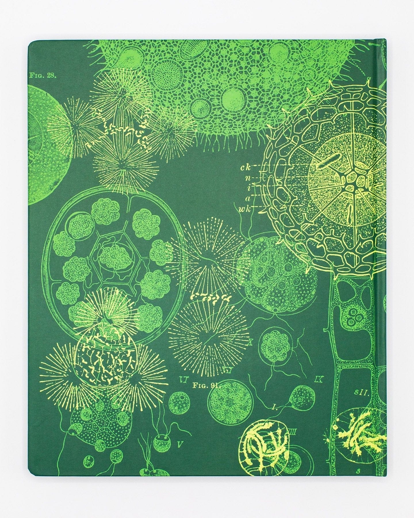Cell Biology Lab Notebook - Image 2