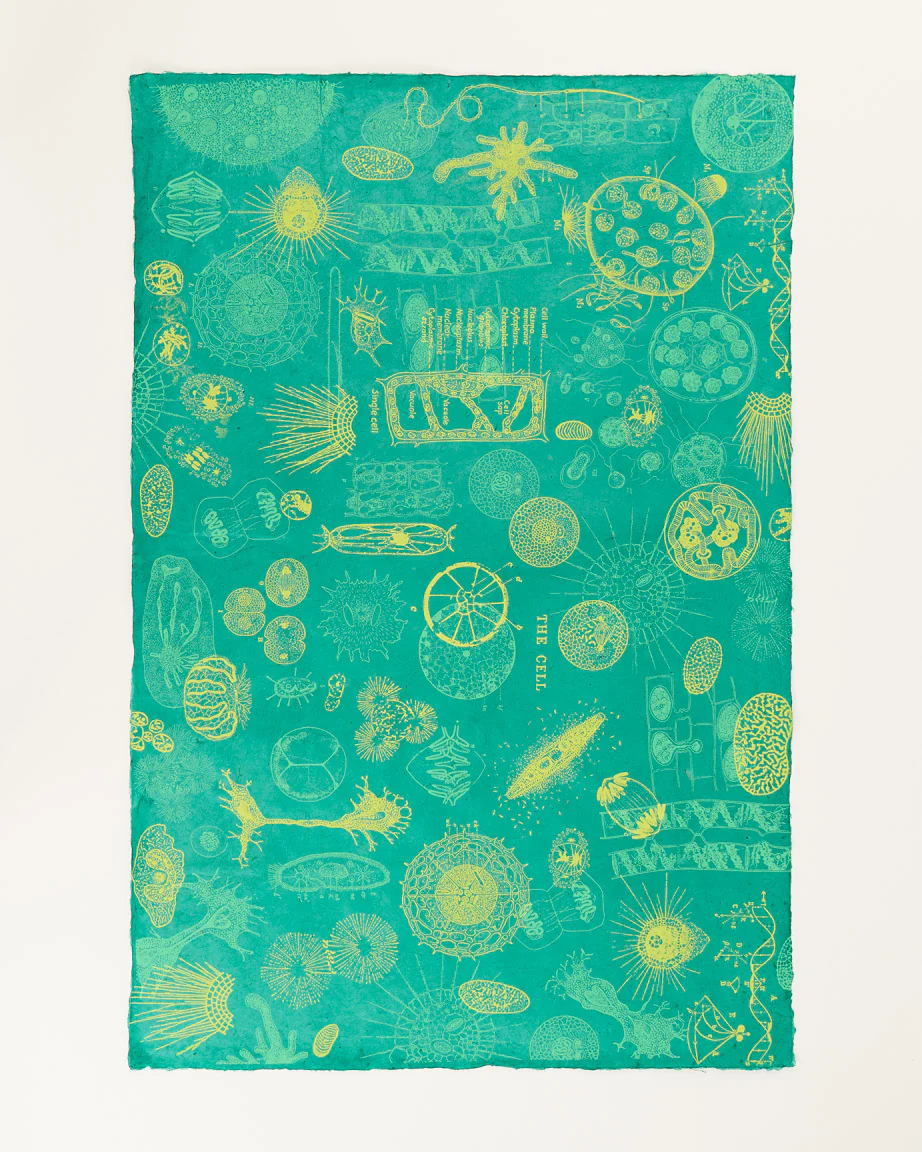 Cell Biology Wrapping Paper - Image 2