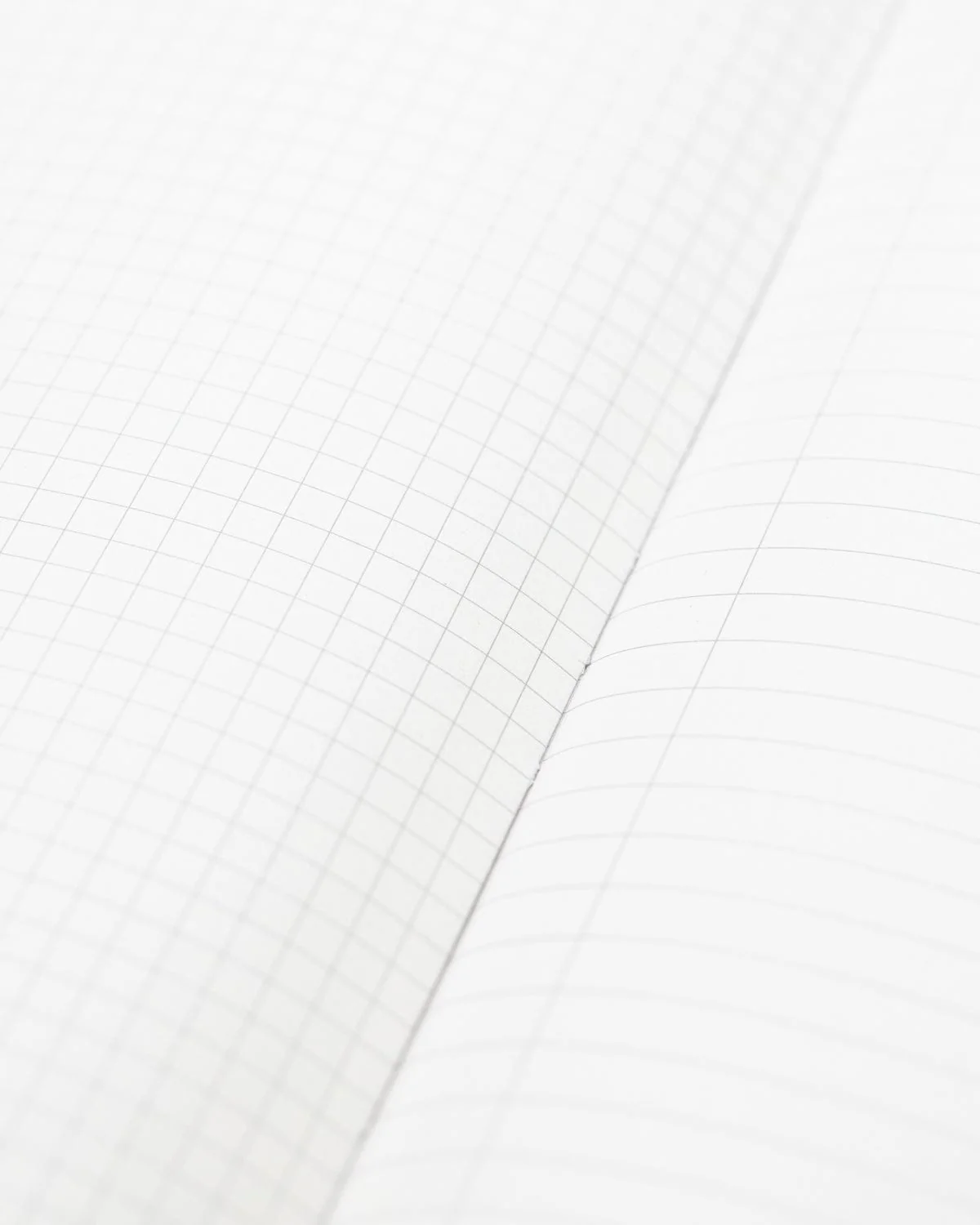 Octopus & Squid Hardcover Notebook - Lined/Grid - Image 3