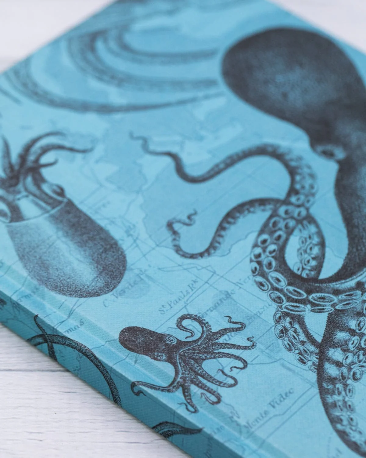 Octopus & Squid Hardcover Notebook - Lined/Grid - Image 7