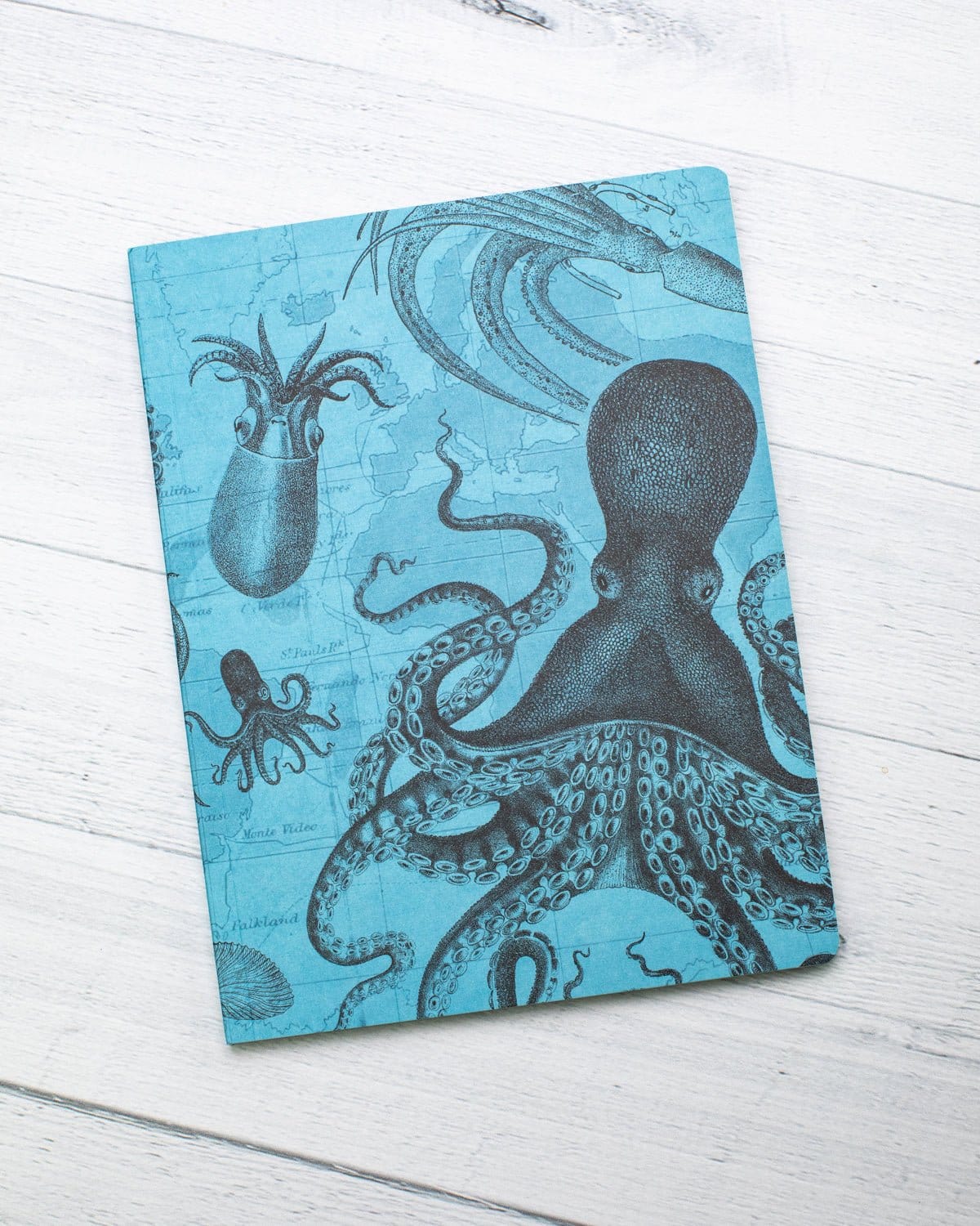 Octopus & Squid Softcover Notebook - Lined - Image 5