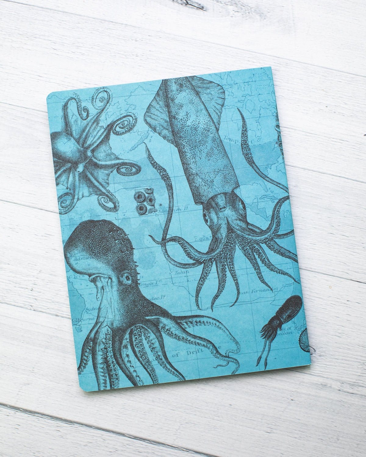 Octopus & Squid Softcover Notebook - Lined - Image 6