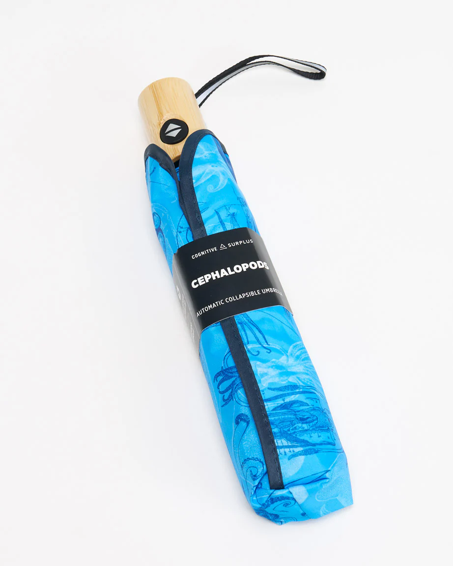Cephalopods Umbrella - Image 6