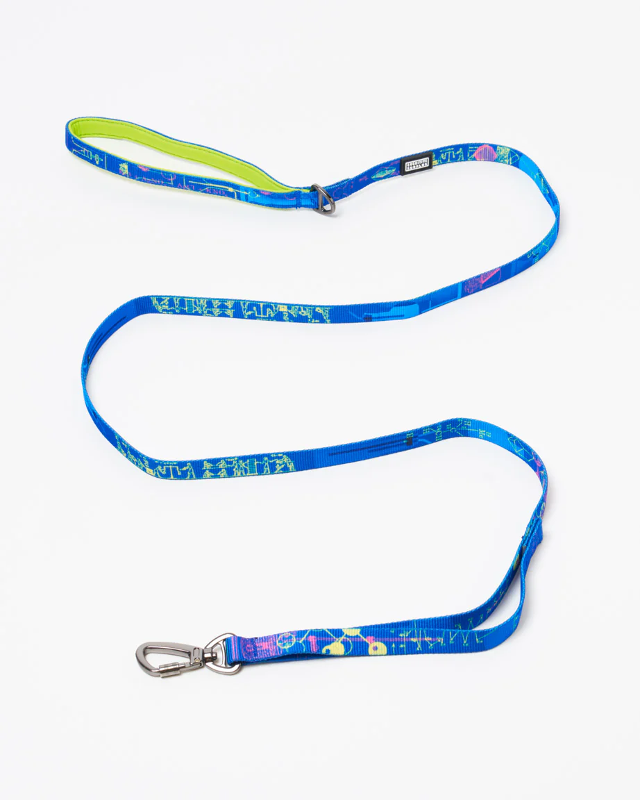 Chemistry Eco Pet Leash - Image 4