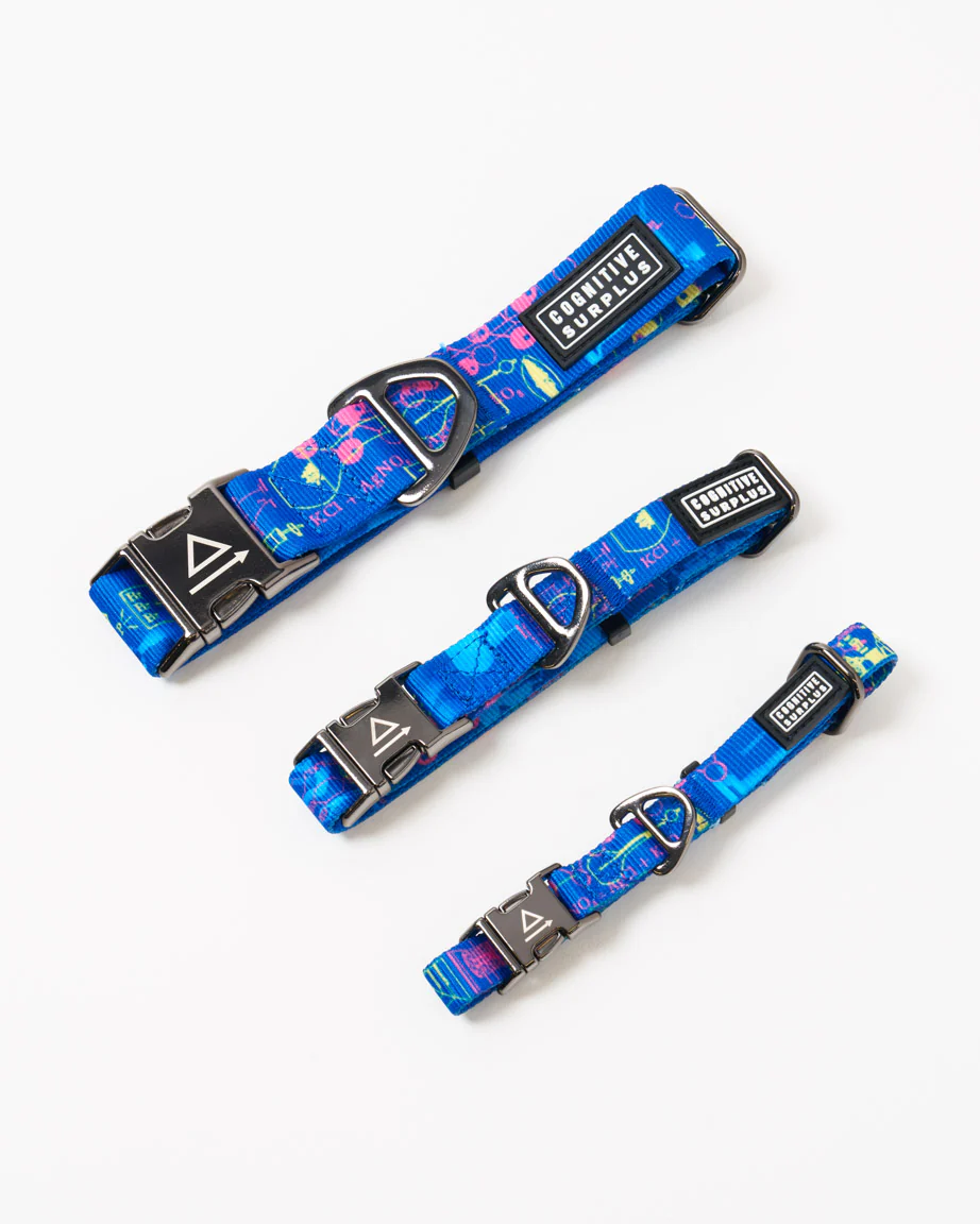 Chemistry Eco Pet Collar - Image 2