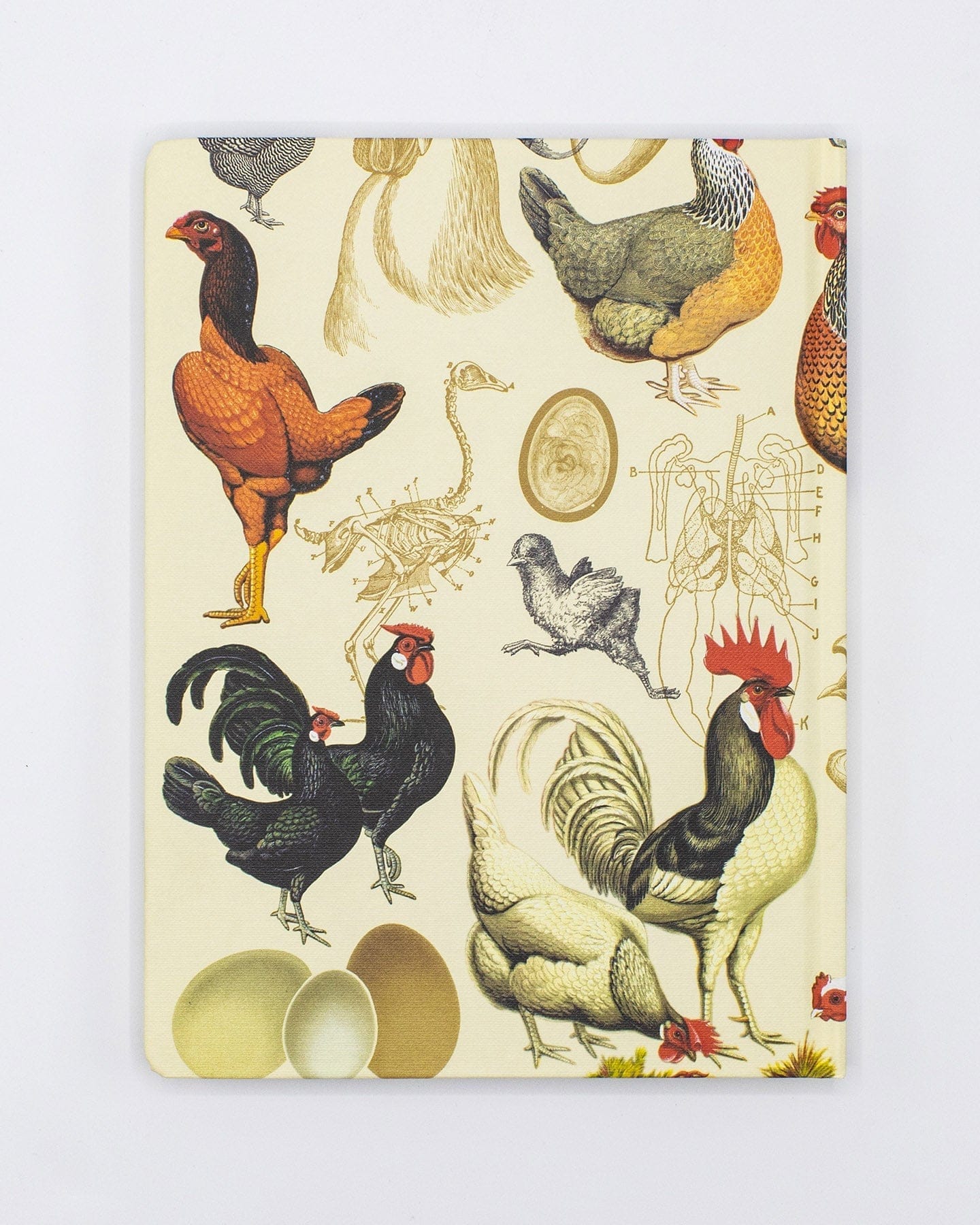 Chicken Hardcover Notebook - Dot Grid - Image 2