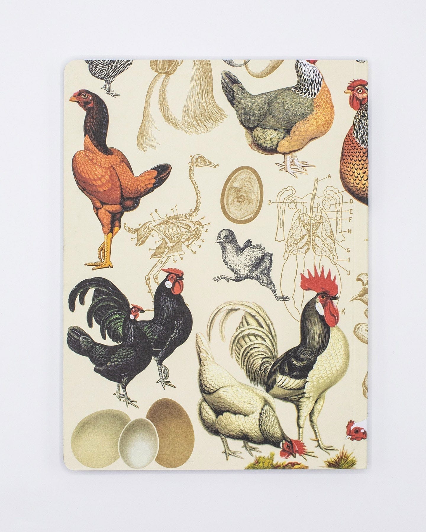 Chicken Softcover Notebook - Lined - Image 2