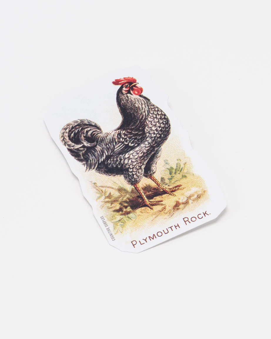 Chicken Sticker - Image 2
