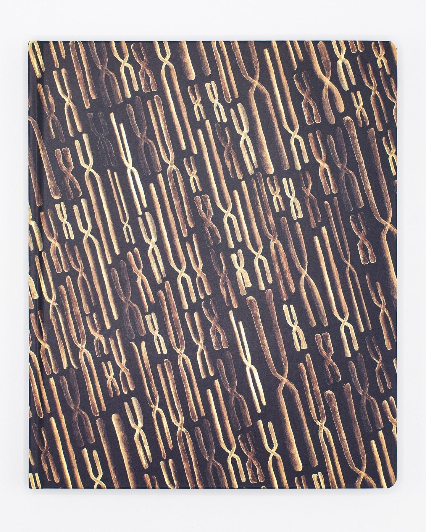 Elegant Genes Lab Notebook
