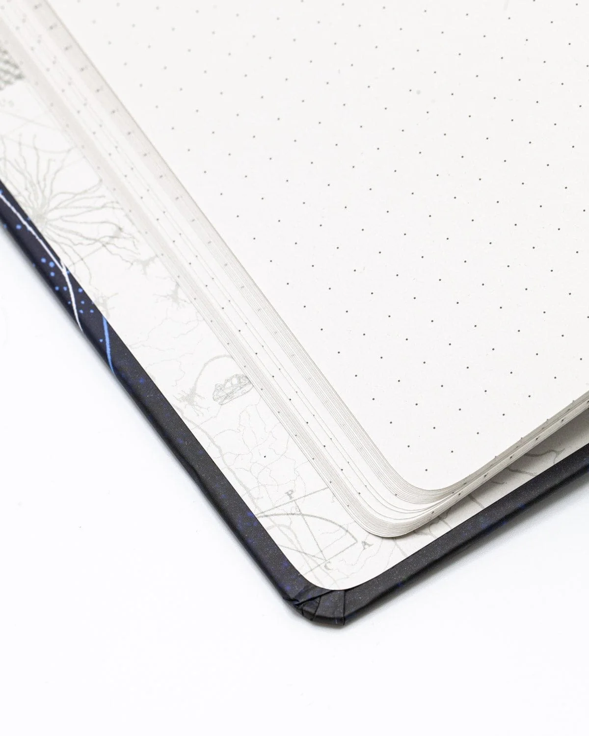Constellations Hardcover Notebook - Dot Grid - Image 8