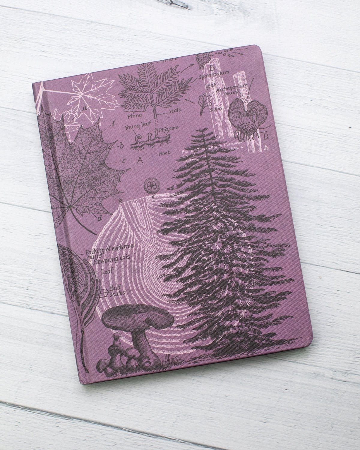 Forest at Dusk Hardcover Notebook - Lined/Grid - Image 5