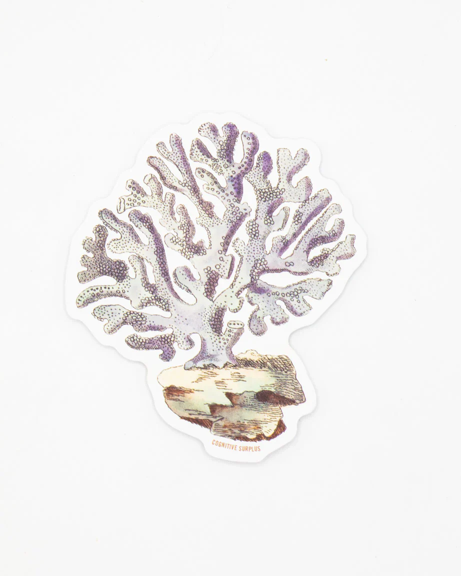Coral Sticker - Image 2