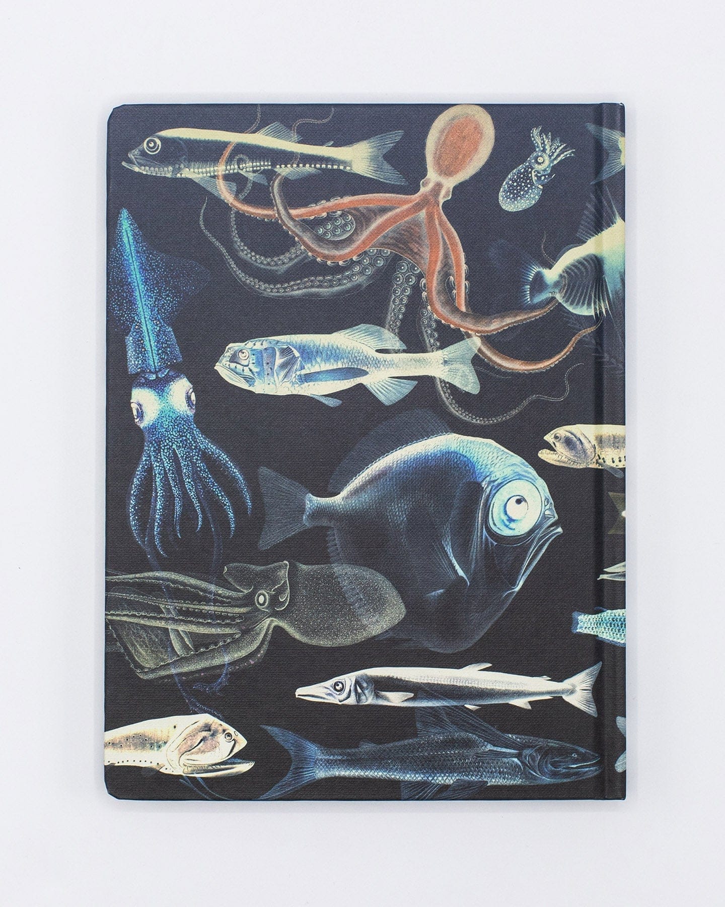 Deep Sea Hardcover Notebook - Lined/Grid - Image 2