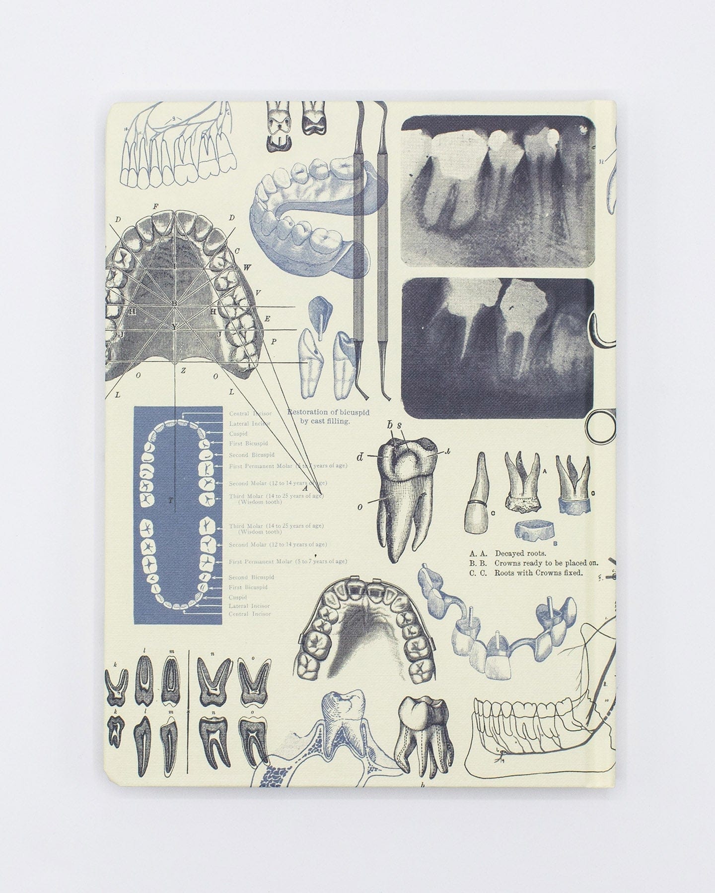 Dentistry Hardcover Notebook - Dot Grid - Image 2