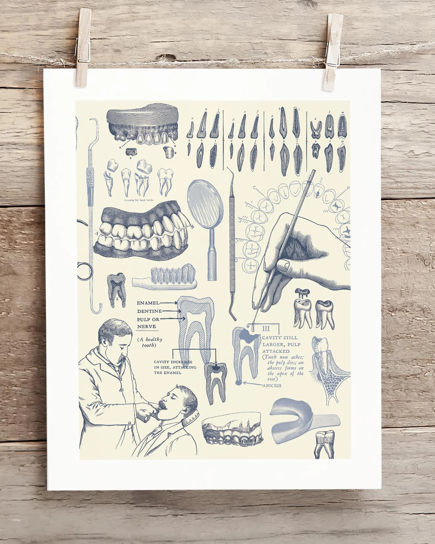 Dentistry Medical Illustration Museum Print - Image 2