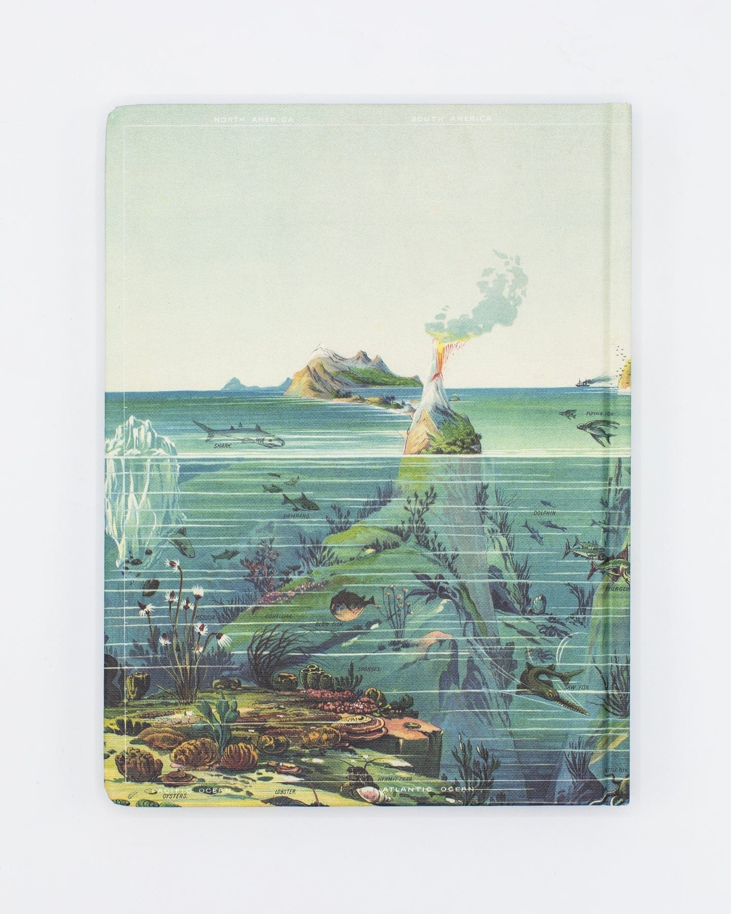 Descending Regions Hardcover - Blank - Image 2