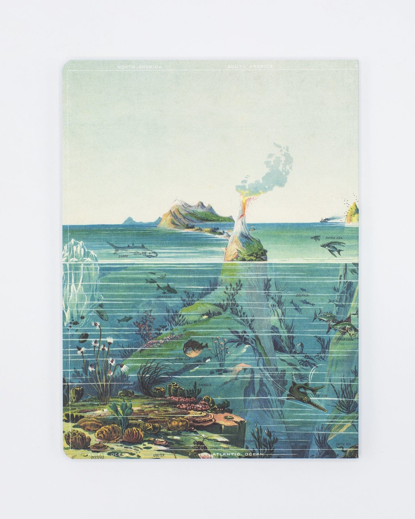 Descending Regions Softcover Notebook - Dot Grid - Image 2