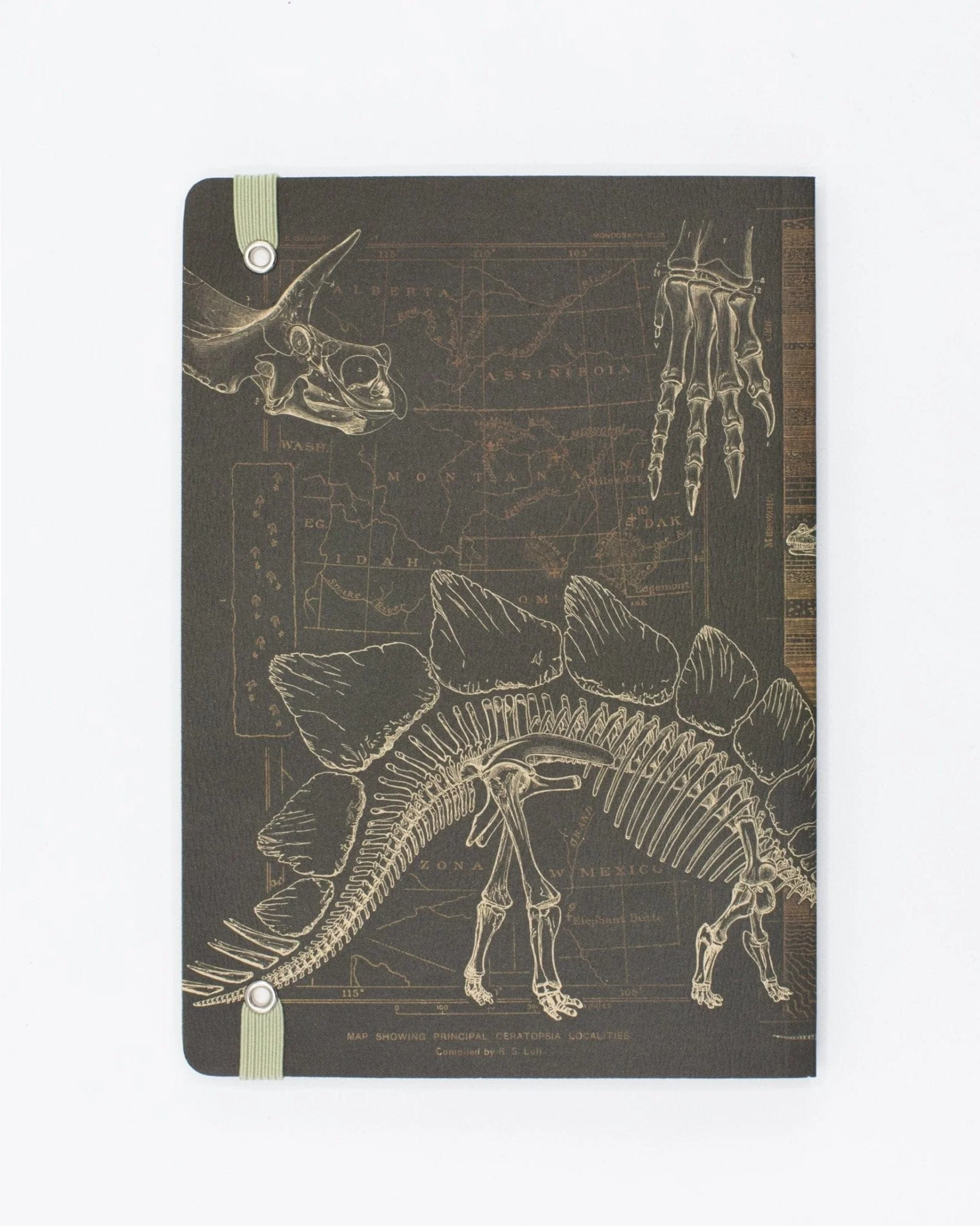 Dinosaur Bones A5 Softcover Notebook - Image 3