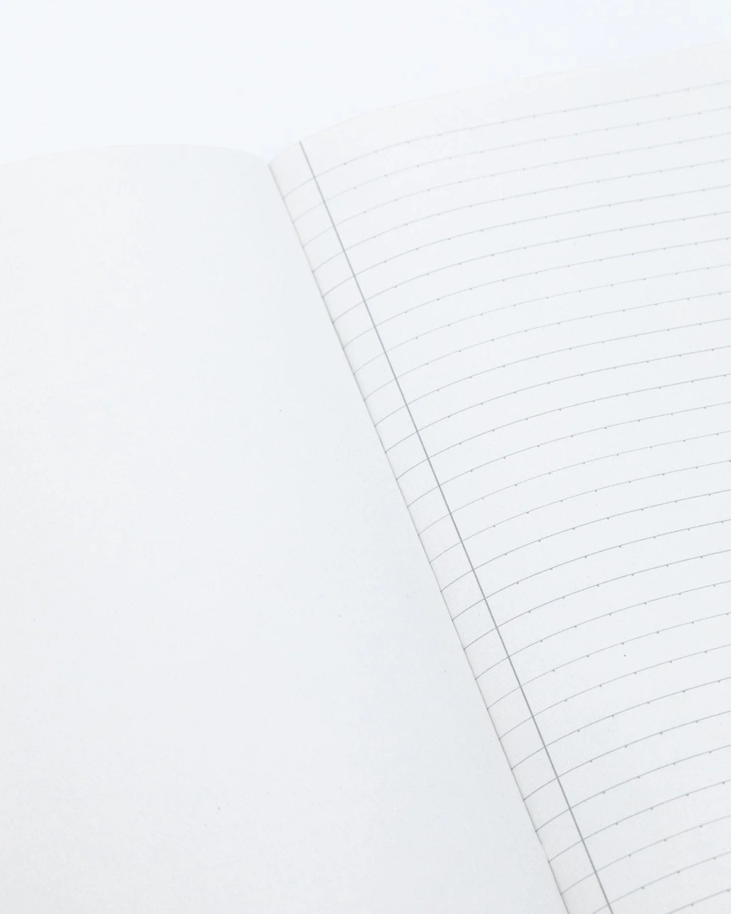 Dinosaur Bones A5 Softcover Notebook - Image 4