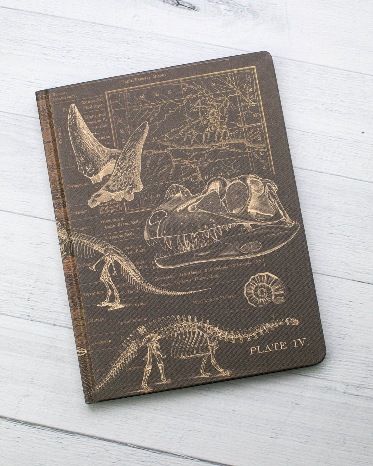 Dinosaur Bones: Paleontology Hardcover Notebook - Dot Grid - Image 5