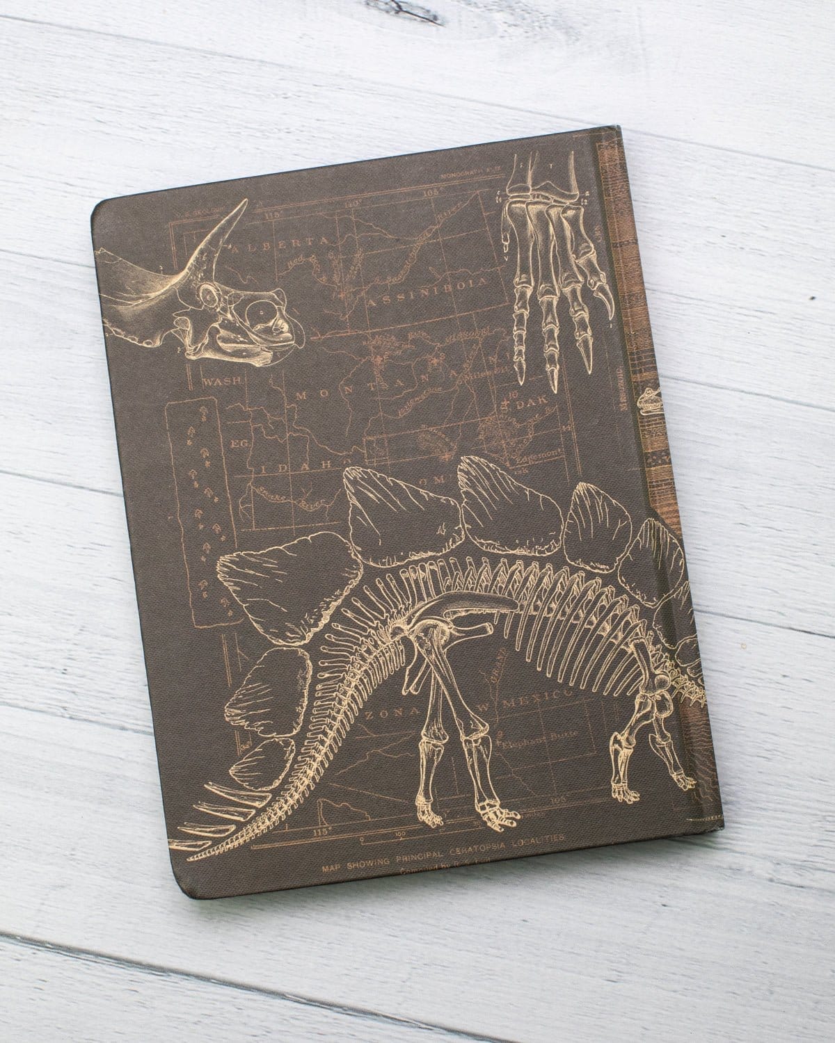 Dinosaur Bones: Paleontology Hardcover Notebook - Dot Grid - Image 6