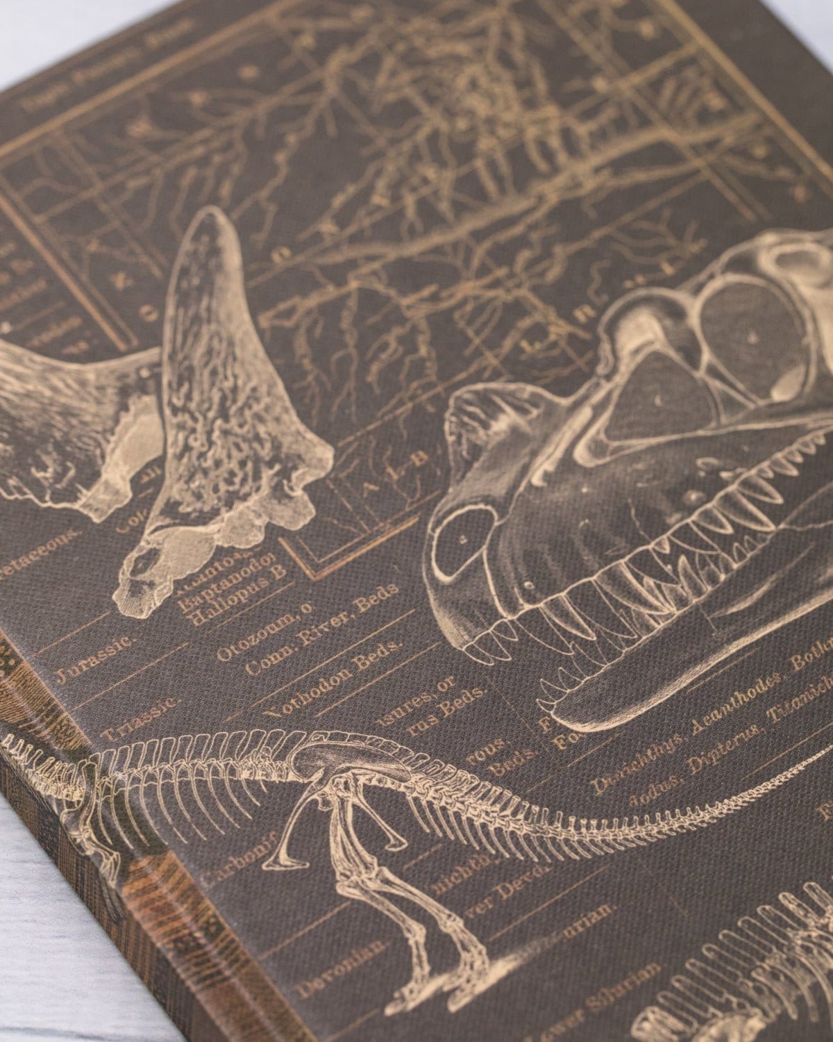 Dinosaur Bones: Paleontology Hardcover Notebook - Dot Grid - Image 7