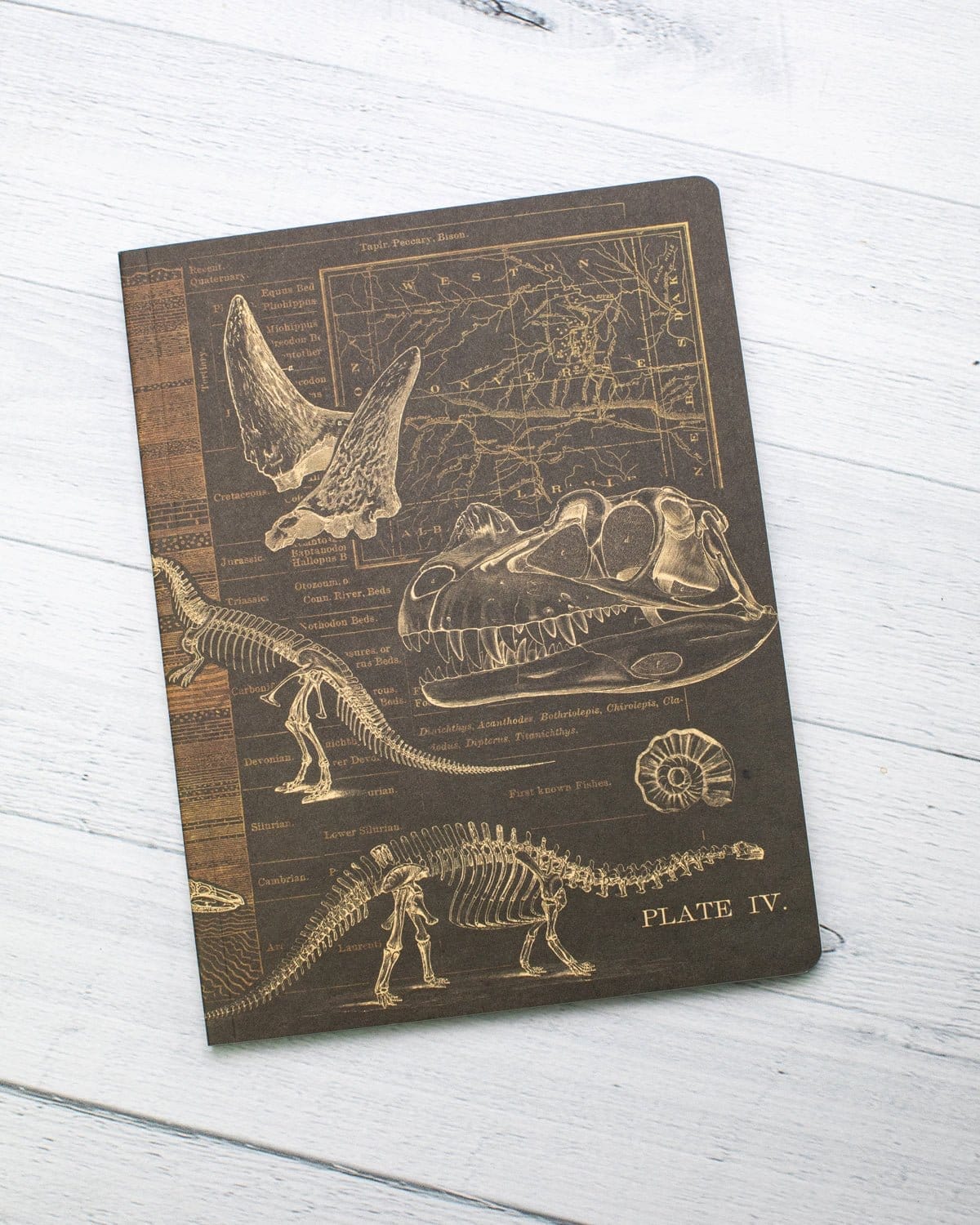 Dinosaur Softcover Notebook - Dot Grid - Image 6