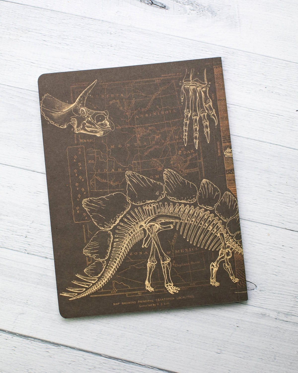 Dinosaur Softcover Notebook - Dot Grid - Image 7