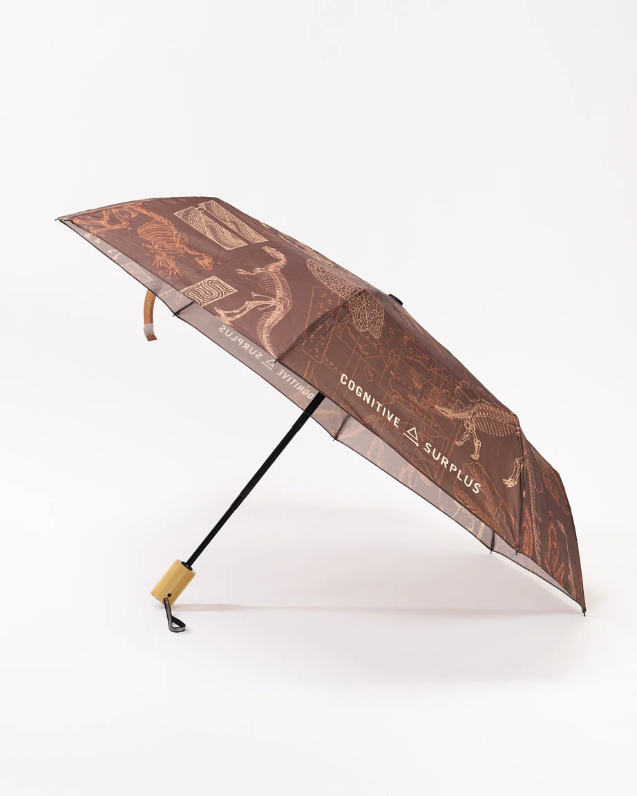 Dinosaur Umbrella - Image 2