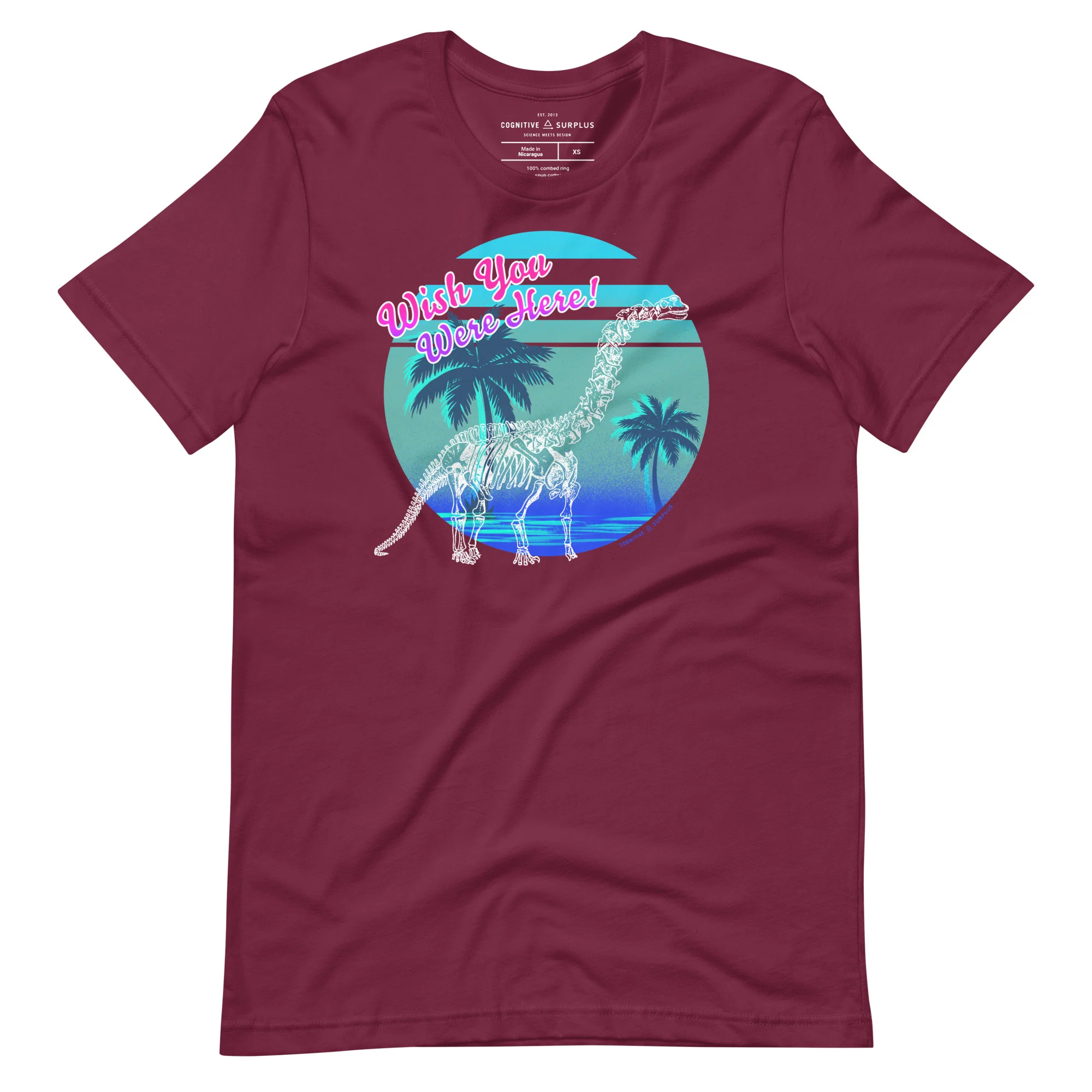 Dinosaur Wish You Were Here Graphic Tee - Image 4