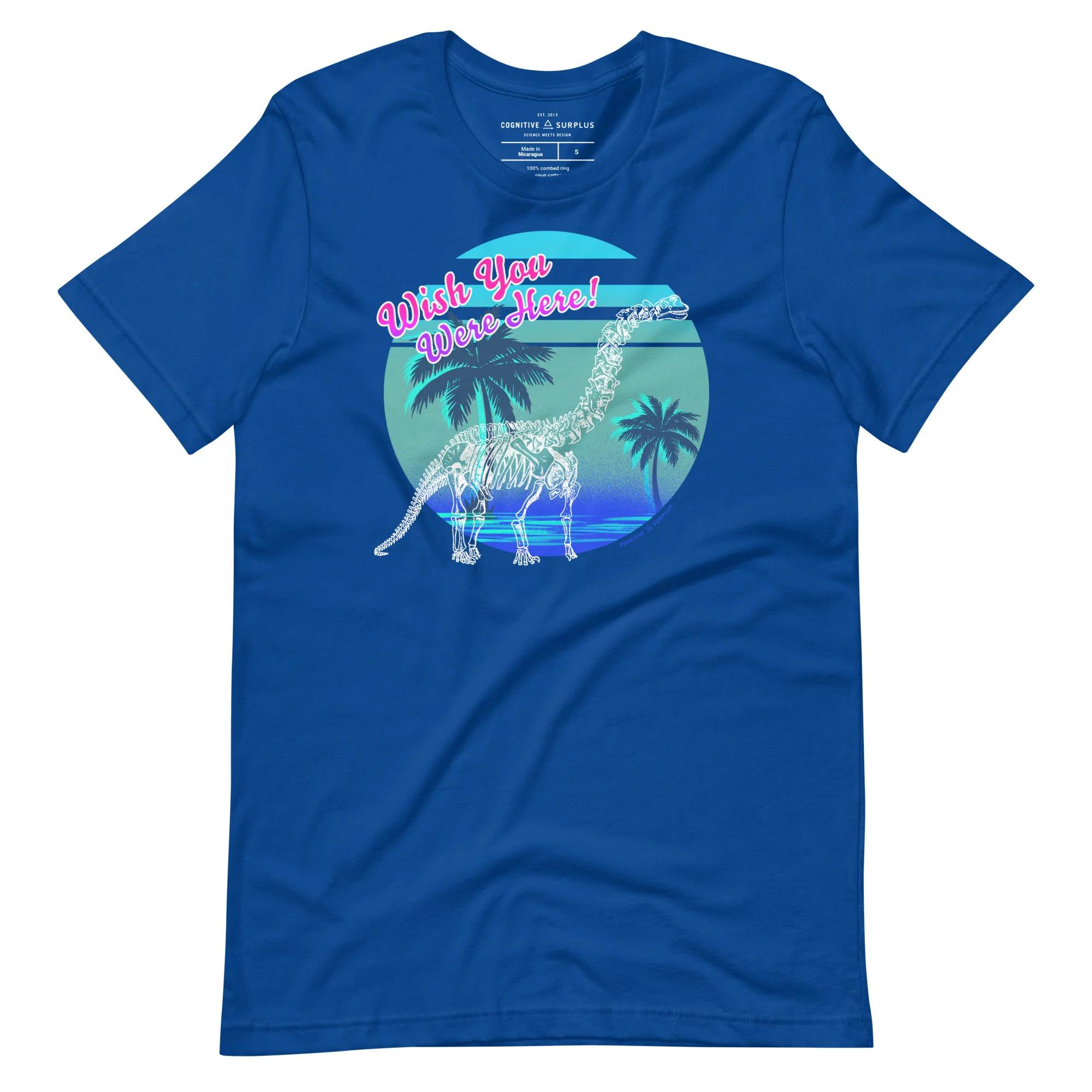 Dinosaur Wish You Were Here Graphic Tee - Image 5
