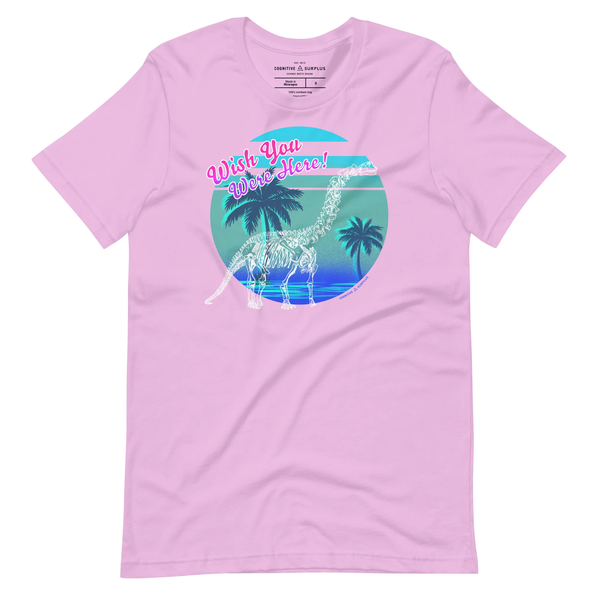 Dinosaur Wish You Were Here Graphic Tee - Image 6