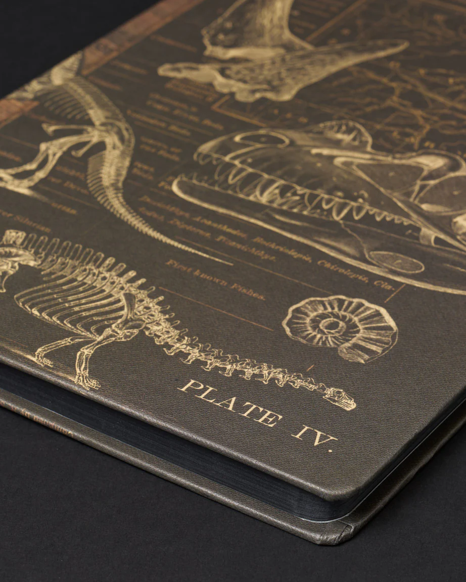 Dinosaurs Dark Matter Notebook - Image 3