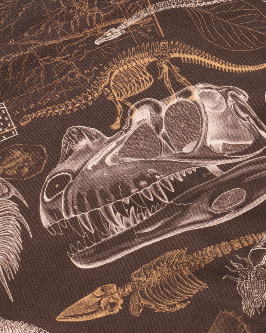 Dinosaurs Eco Pet Bandana - Image 2