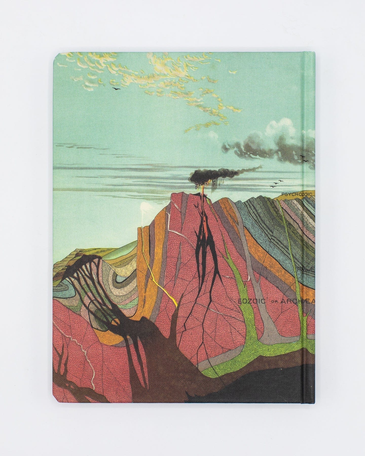 Earth's Geology Hardcover - Blank - Image 2