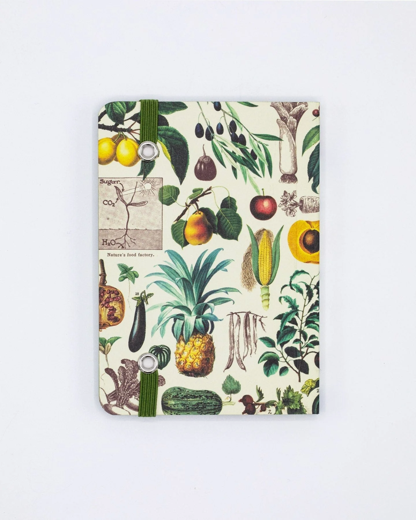 Edible Flora Observation Softcover - Image 3