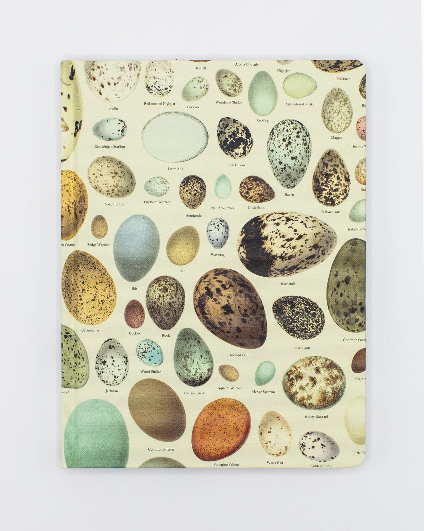 Eggs Hardcover Notebook - Dot Grid
