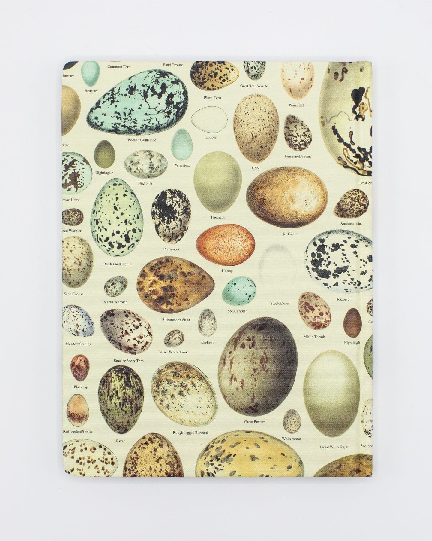 Eggs Hardcover Notebook - Dot Grid - Image 2