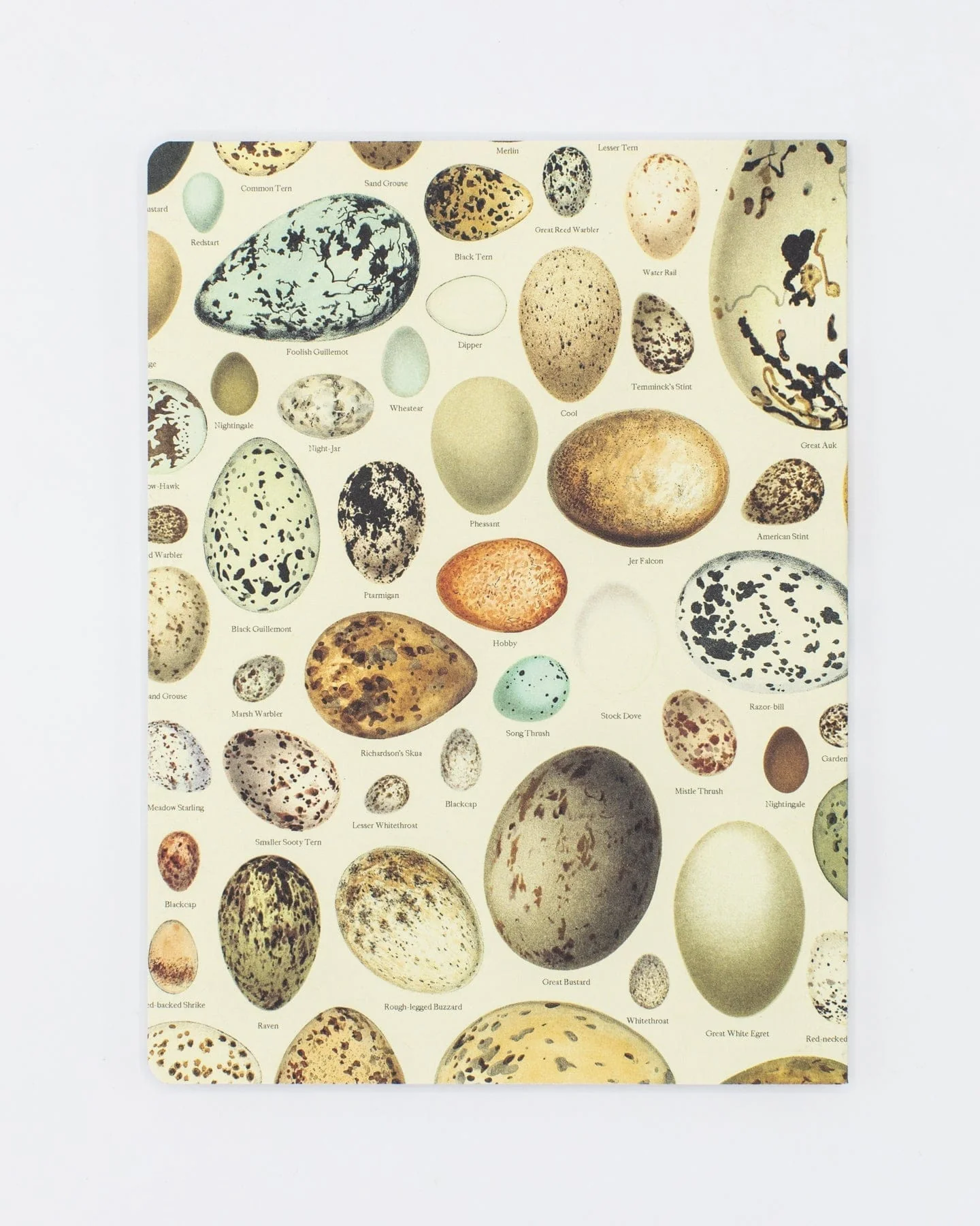 Eggs Softcover Notebook - Lined - Image 2