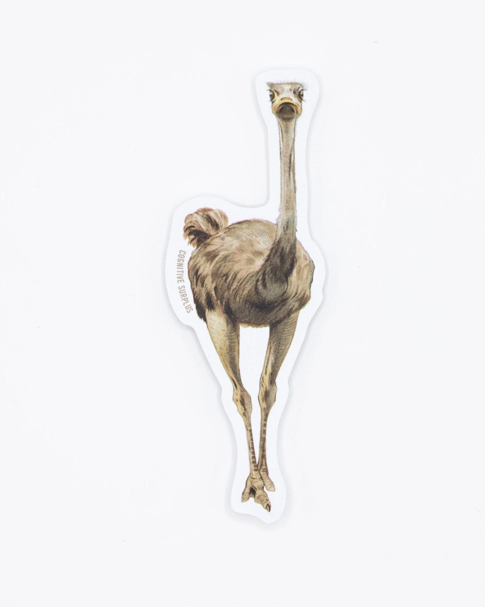 Emu Bird Sticker - Image 2