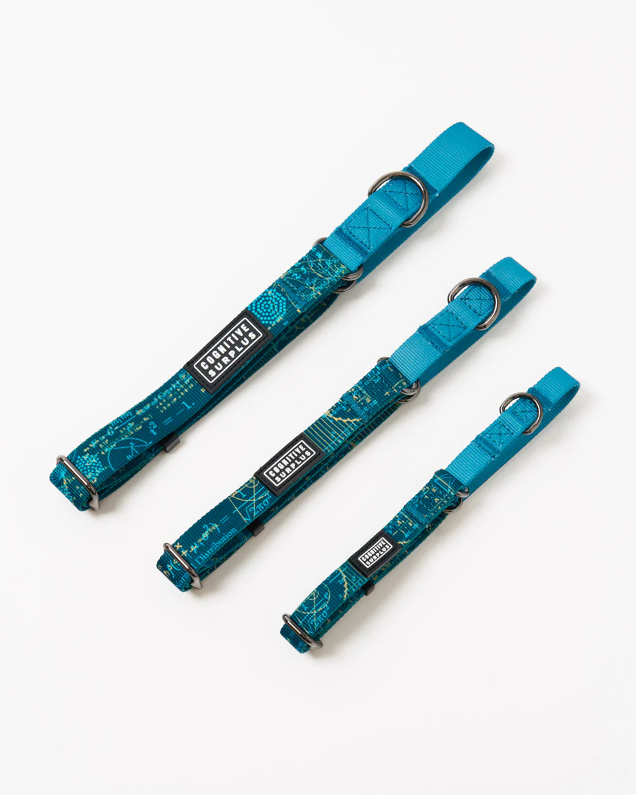 Equations That Changed the World Eco Martingale Collar - Image 2