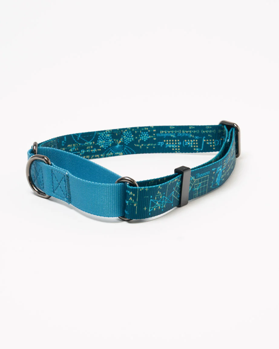 Equations That Changed the World Eco Martingale Collar - Image 3