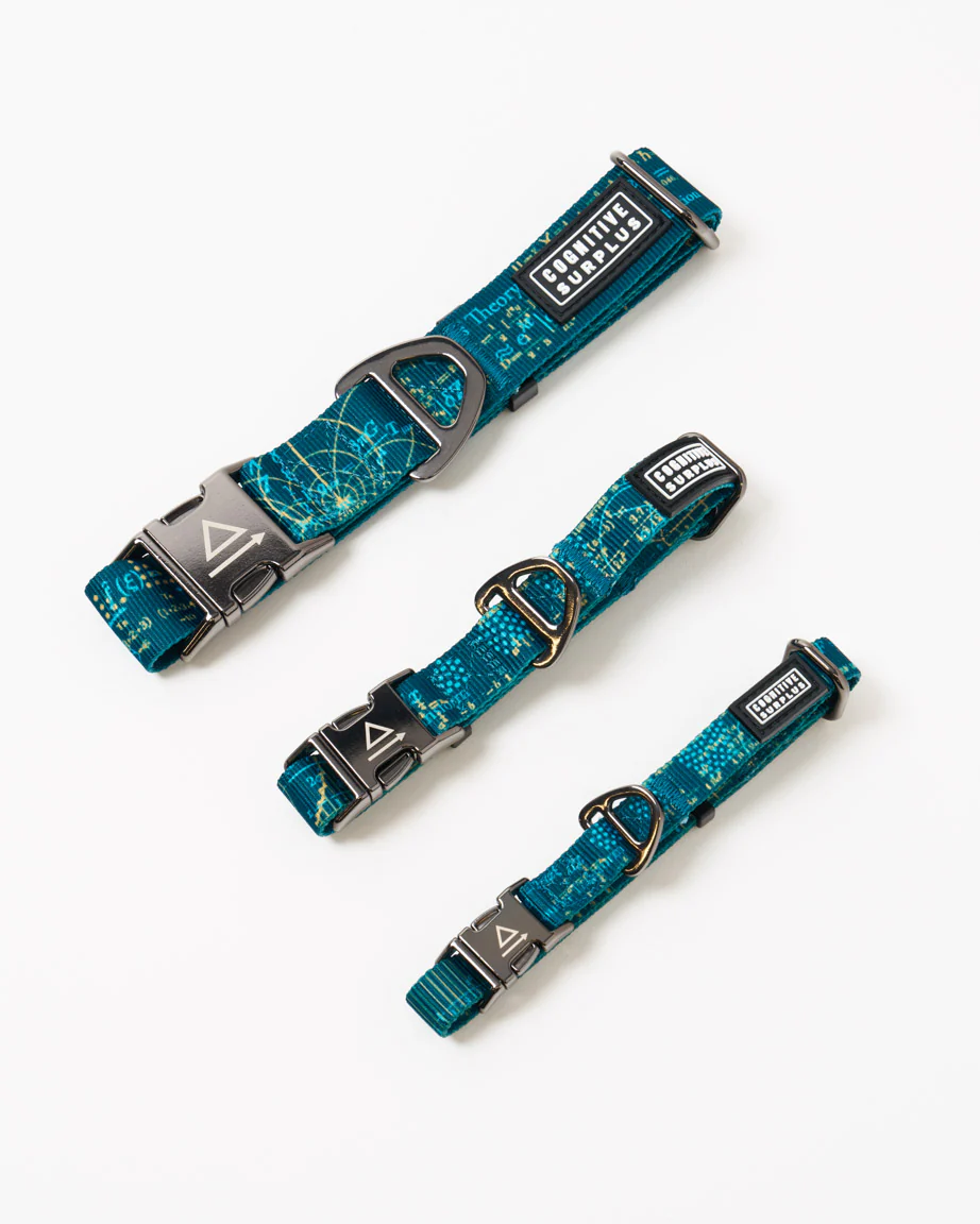 Equations That Changed the World Eco Pet Collar - Image 2