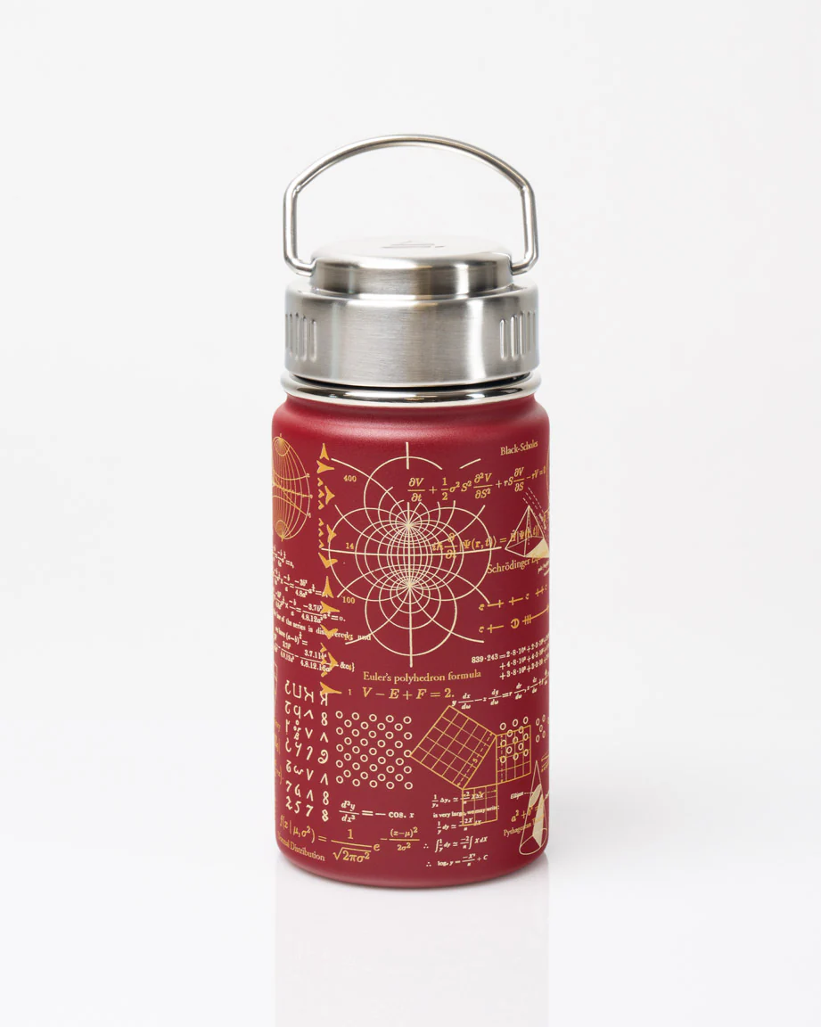 Equations That Changed the World 12 oz Steel Bottle