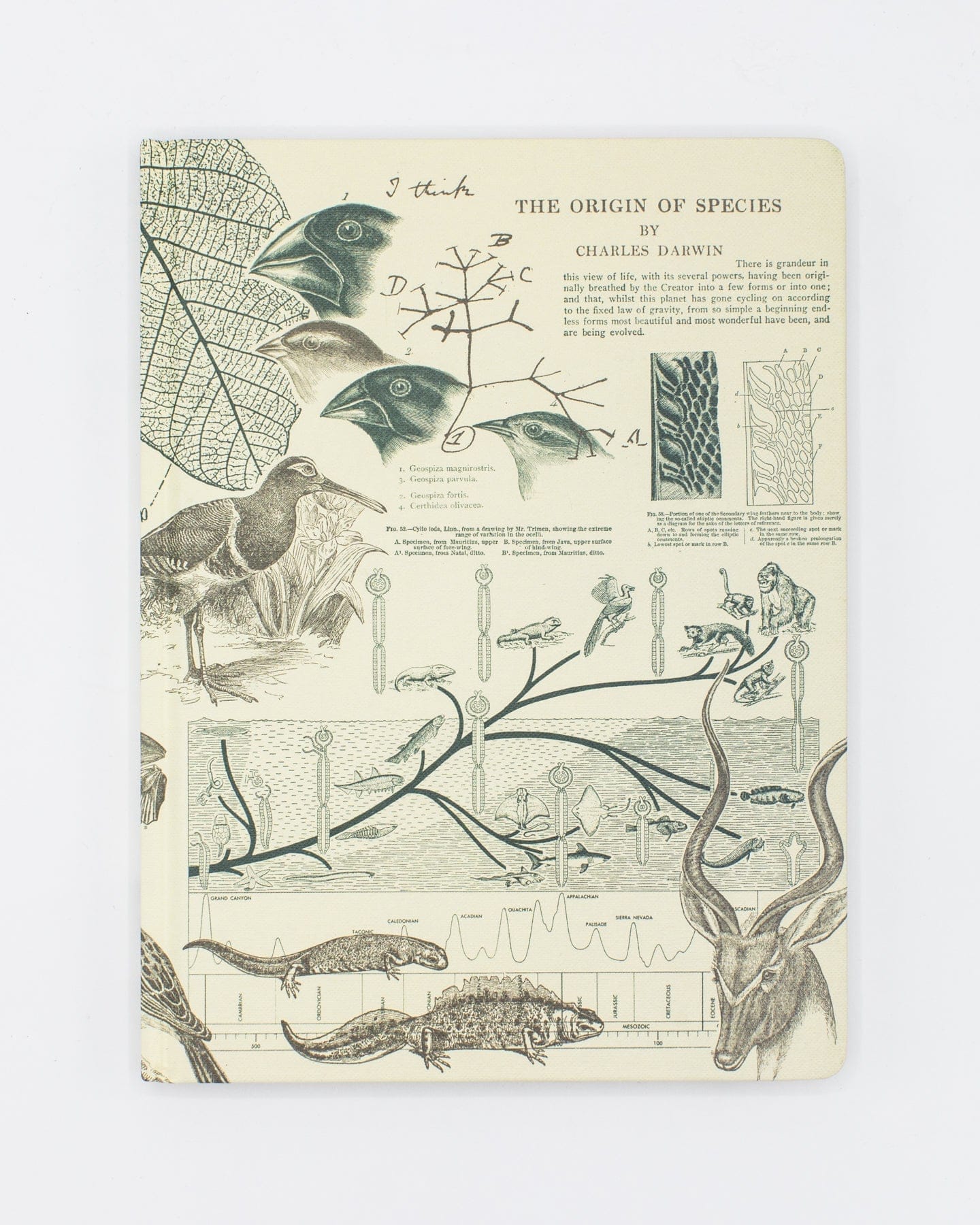 Evolution Hardcover Notebook - Dot Grid