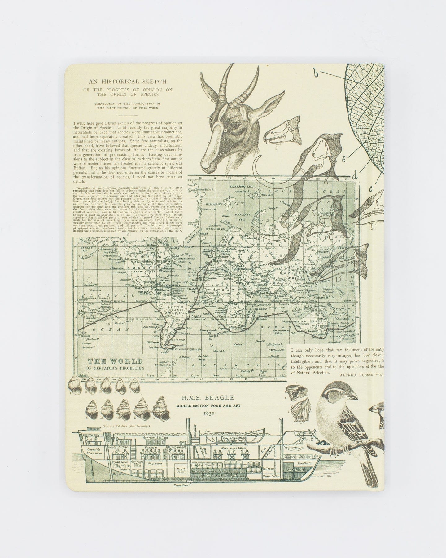 Evolution Hardcover Notebook - Dot Grid - Image 2