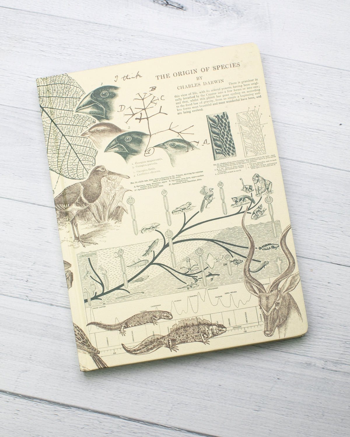 Evolution Hardcover Notebook - Dot Grid - Image 5