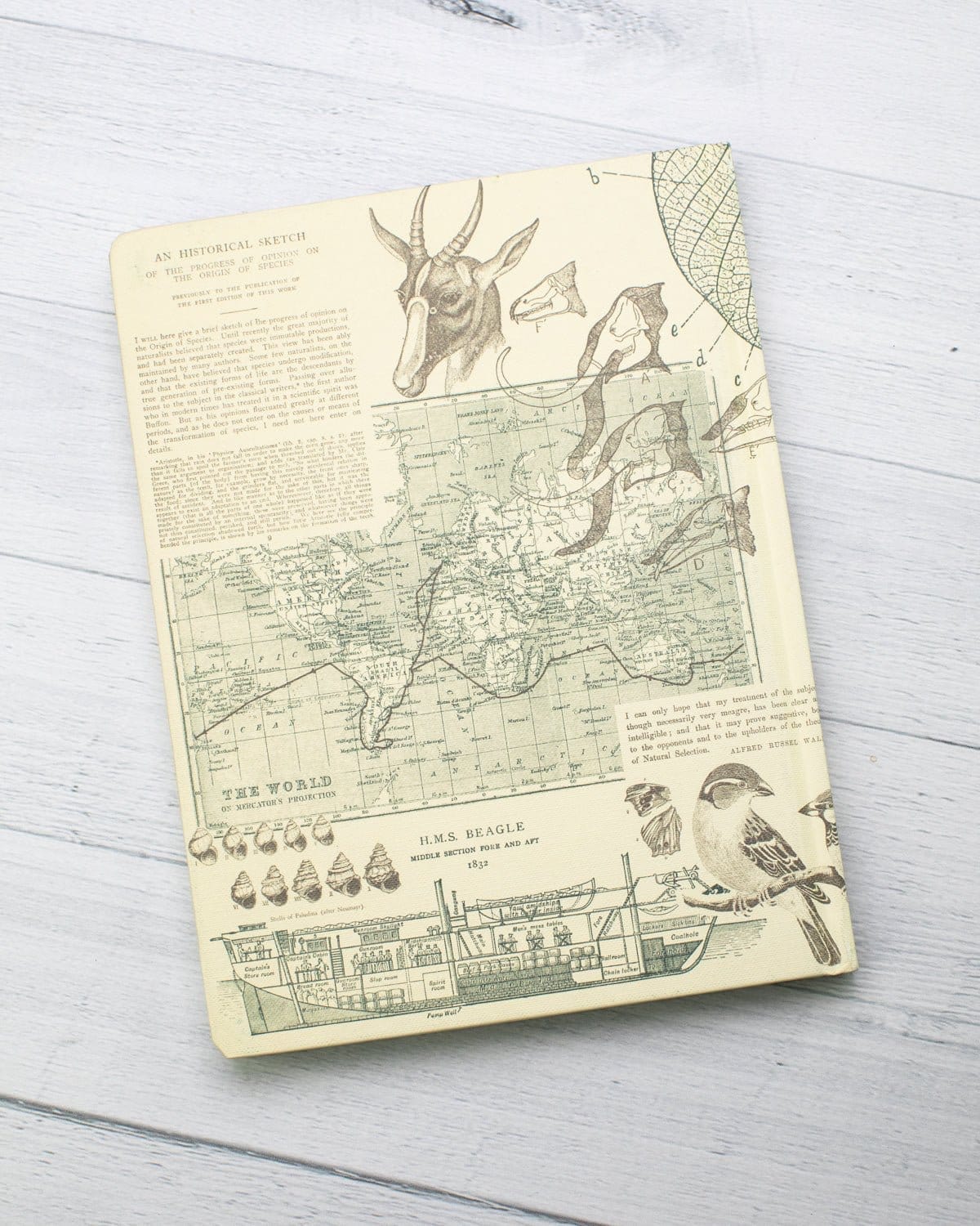 Evolution Hardcover Notebook - Dot Grid - Image 6