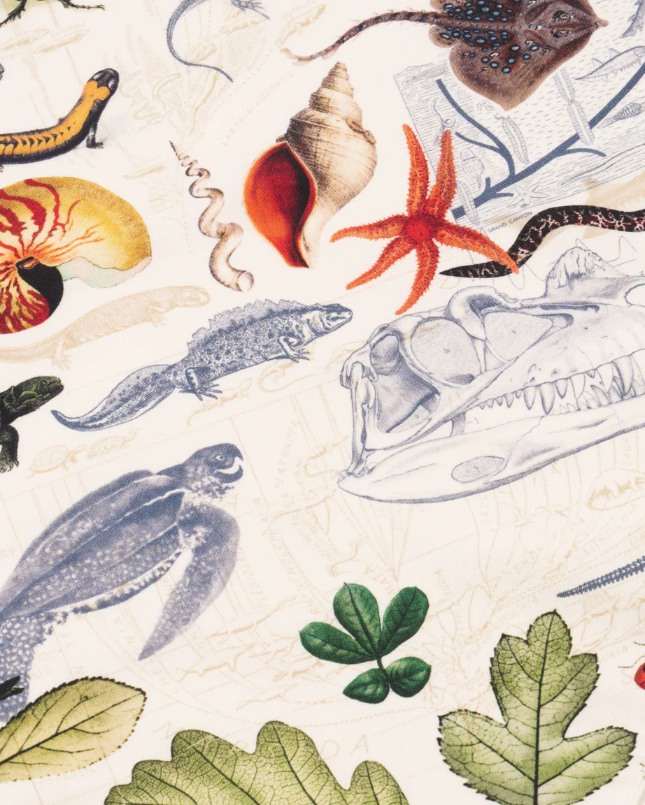 Evolution Eco Pet Bandana - Image 2